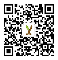 二(er)維碼圖(tu)片(pian)