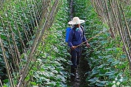 辳業(yè)(ye)領(ling)域